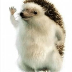 Meet your Posher, Gillian